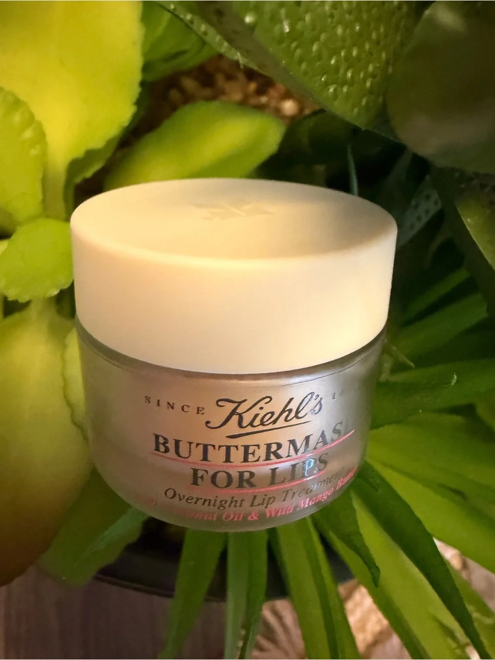 Kiehl's Buttermask-overnight lips treatment-with Coconut Oil & Wild Mango Butter